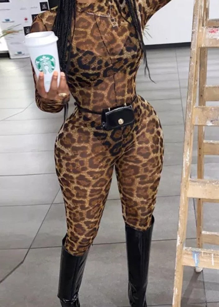 Leopard Mesh Bodysuit